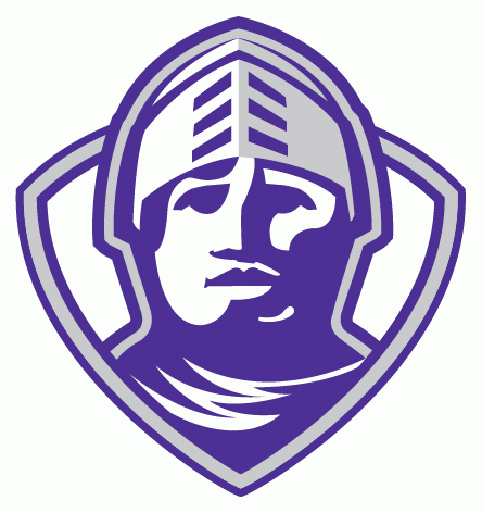 Furman Paladins 2002-2012 Alternate Logo diy iron on heat transfer